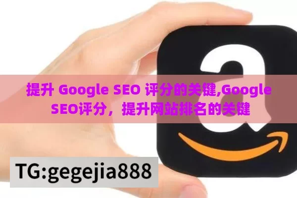 提升 Google SEO 评分的关键,Google SEO评分，提升网站排名的关键