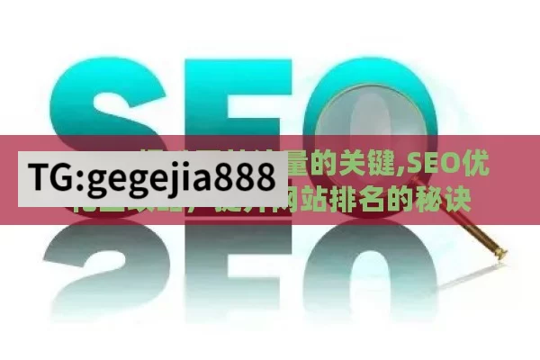 SEO，提升网站流量的关键,SEO优化全攻略，提升网站排名的秘诀